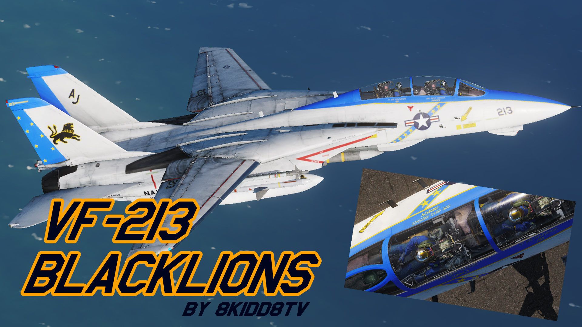 F-14B] VF-213 BLACK LIONS [SKIN]